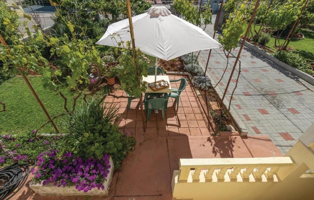 Villa Kata Apartments Zadar Extérieur photo
